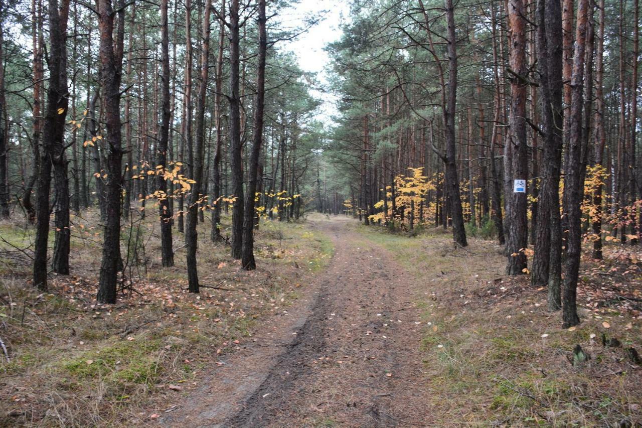 Dom Turysty "Tramp" Hotel Bukowno Buitenkant foto